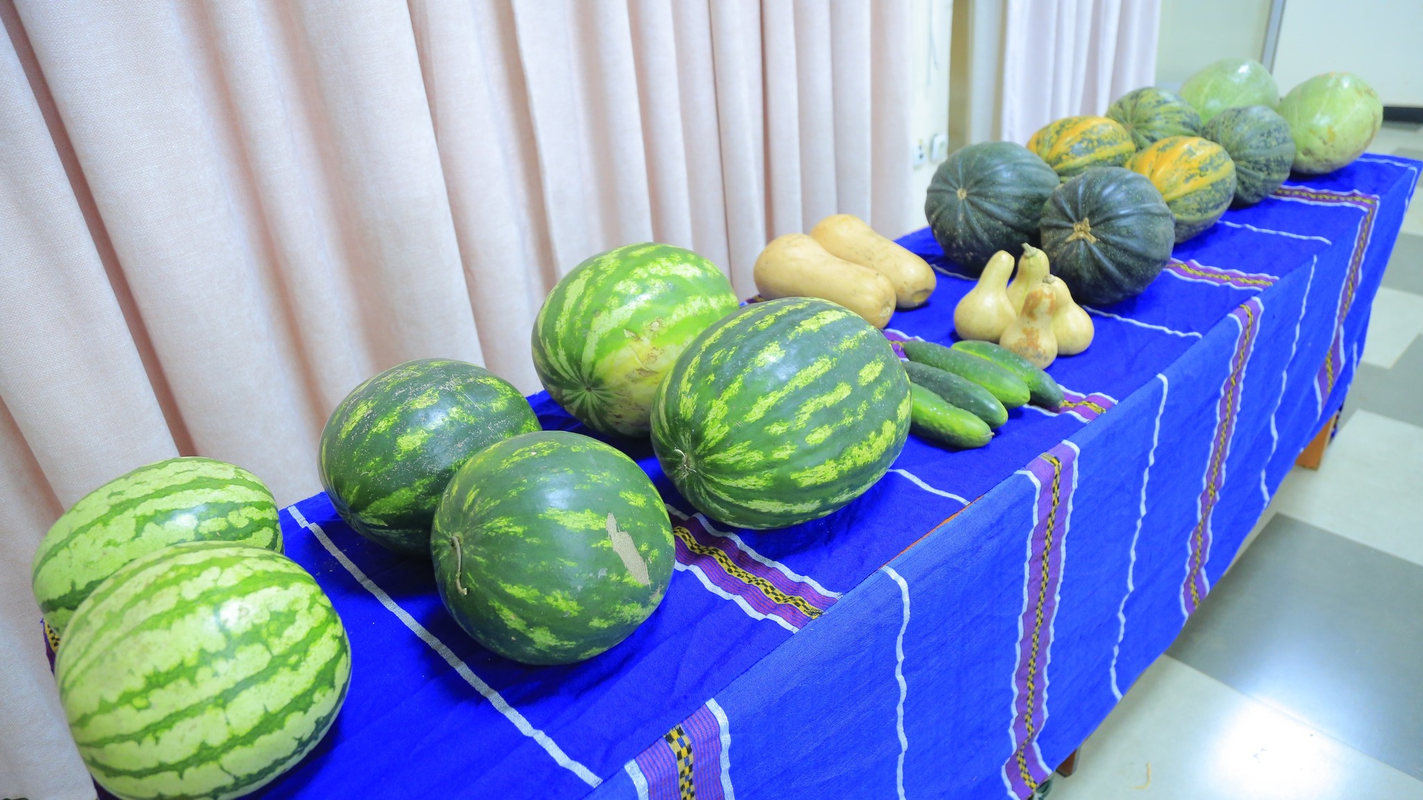 Cucurbits