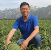 Professor Wenge Liu
