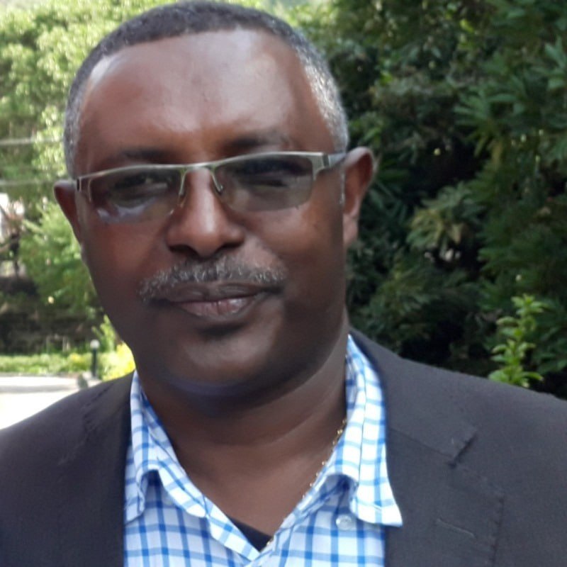 Prof. Yalew Endawoke Mulu